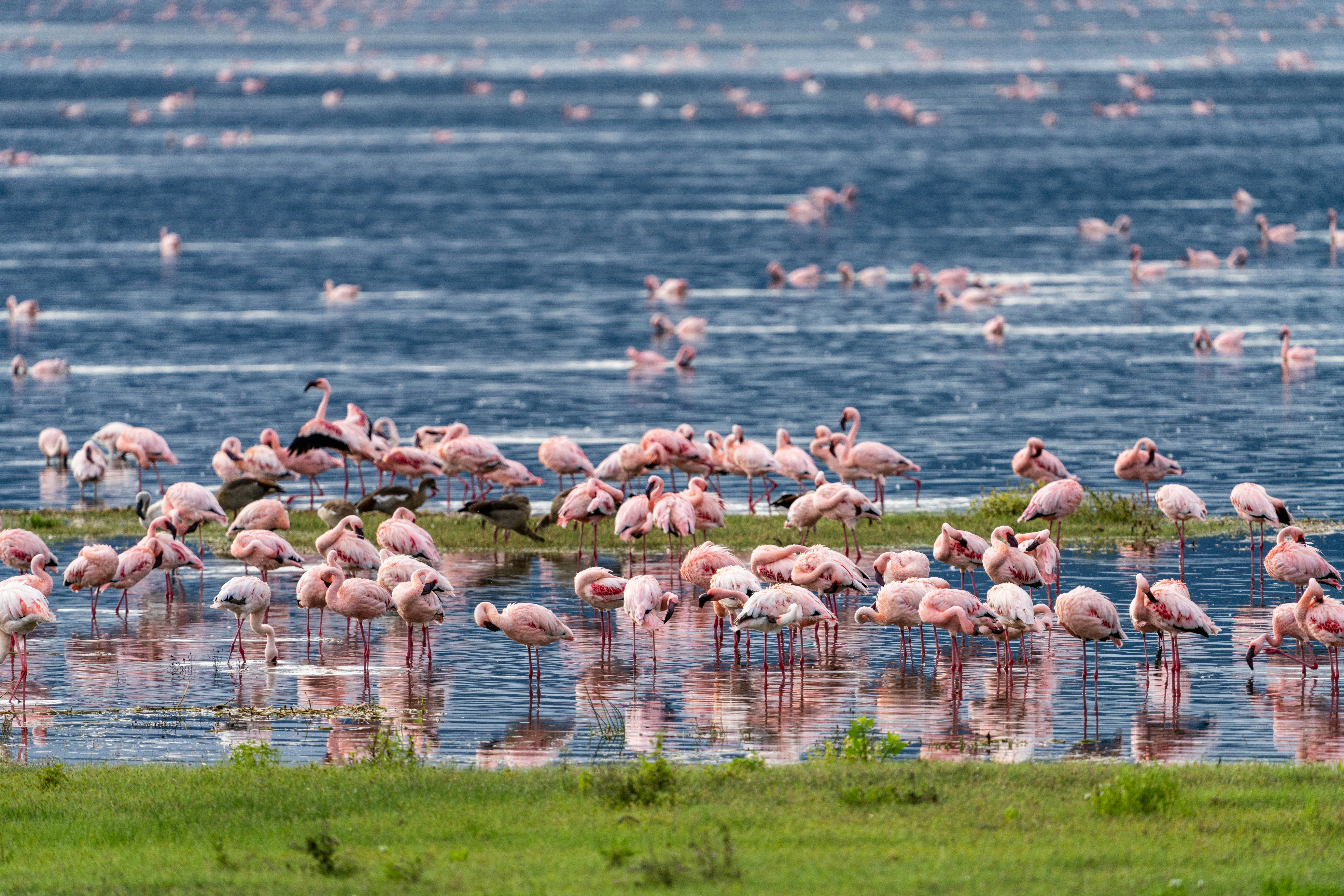 Tanzania Adventure Tours