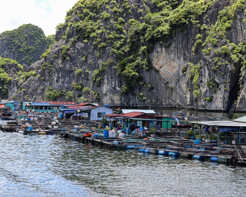 Safari gallery photograph 9